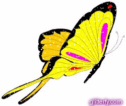 yellow_butterfly.gif