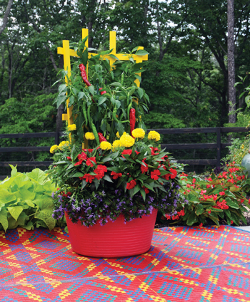 YellowtrellisRedtrug.jpg