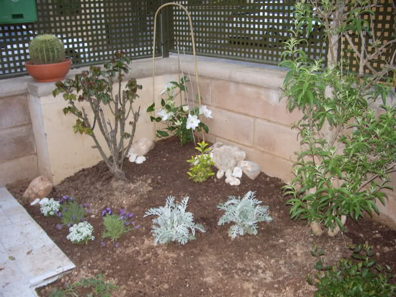 yjb05.jpg