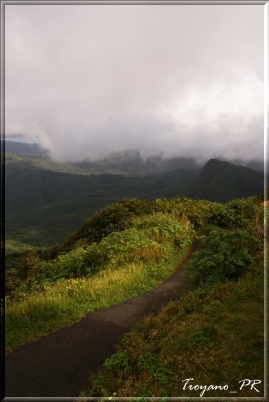 yunquep6.jpg