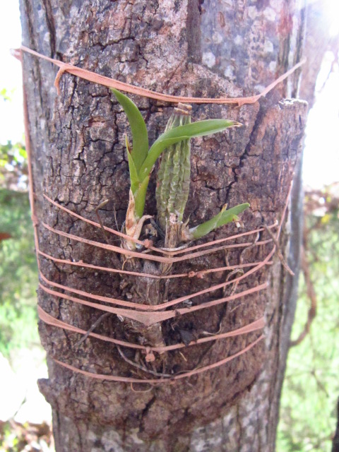 Z97IMG211689Z.jpg