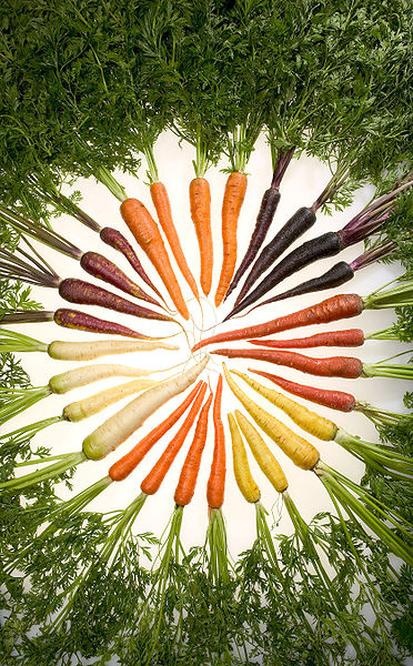 zanahorisdecolores.jpg
