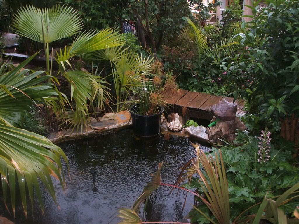 zDSCF1194.jpg