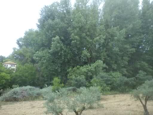 zojhb8.jpg
