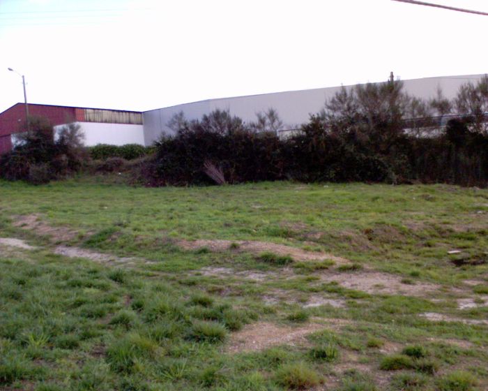 zona de bosque1.JPG