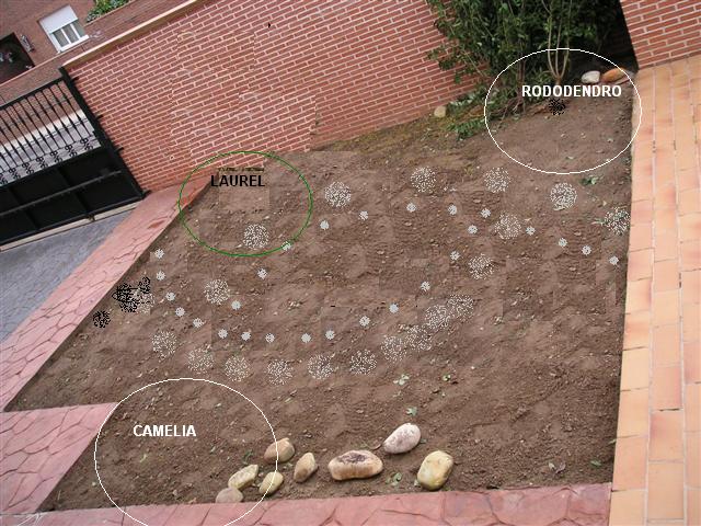 Zona delantera B ene 07  dis 3(Small).JPG