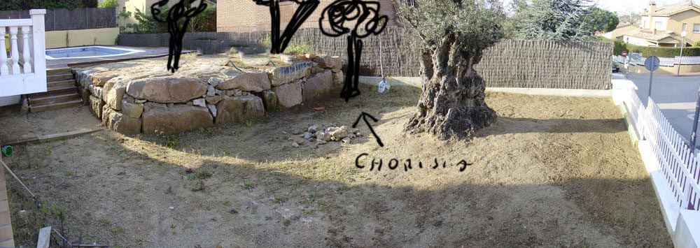 zona-olivo5.jpg