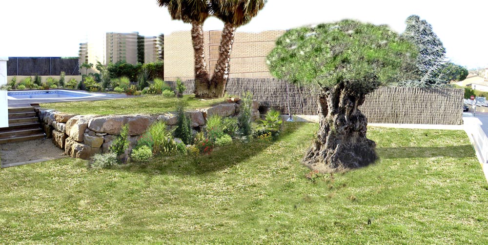 zona-olivonew2.jpg