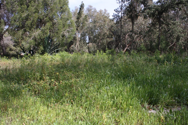 zona1.jpg