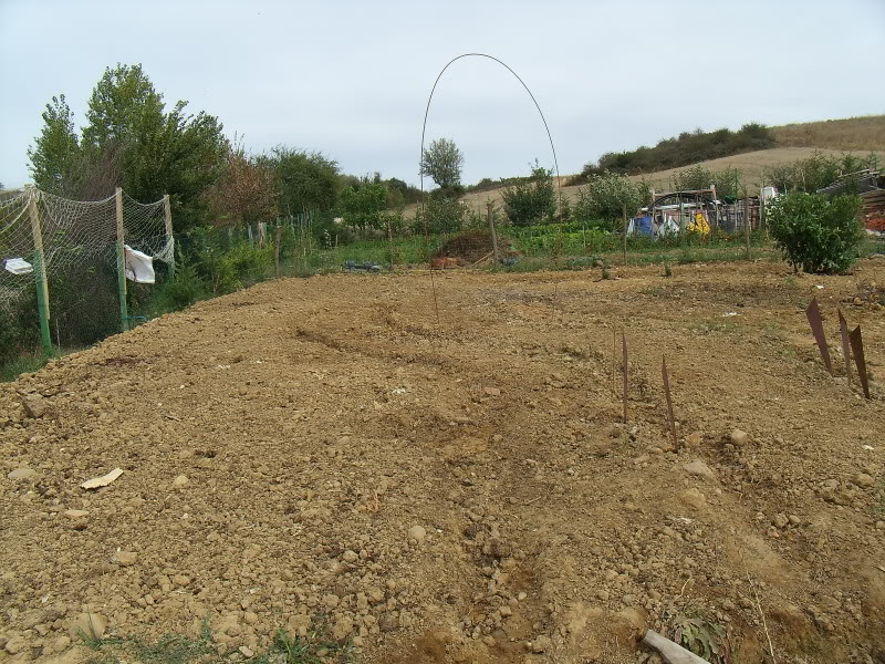 Zona2.jpg