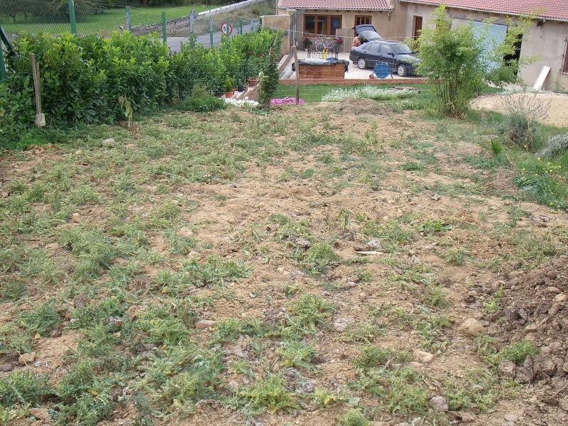 Zona4.jpg