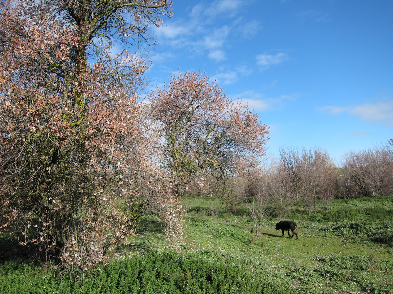 zona48.jpg