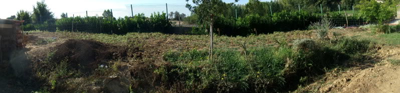 Zona4panoramica.jpg