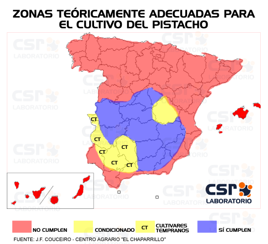 zonaspistacho.jpg