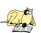zuns06.jpg