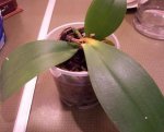 100_0423.jpg