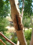 DSCF0411.JPG