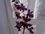 Imagen043.jpg