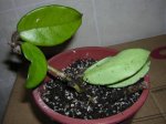DSCN0281.JPG