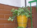 P1010024.JPG