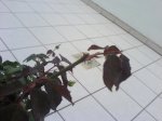 DSC00069.JPG