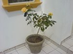 DSC00074.JPG