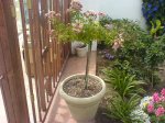DSC00075.JPG