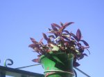 P1010027.JPG