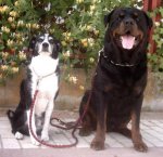 Chico y German.jpg