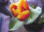 000_0719.jpg