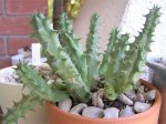 fotos-005.jpg