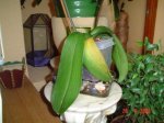 DSC00653.JPG