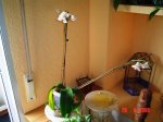 DSC00654.JPG
