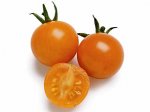 SUNSET_tomatotaste_slide_03.jpg