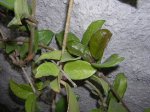 DSCN0264.JPG