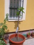 DSCN0554.JPG