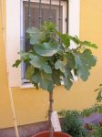 DSCN0710.JPG