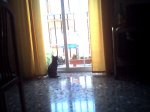 gatito.jpg