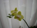 DSCN0259.JPG