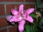 DSCN0265.JPG