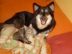 fotos demelsa 146.jpg