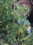 DSC00070.JPG