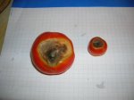 DSCN0738.JPG