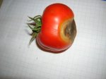 DSCN0741.JPG