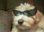 el bola c lentes.jpg