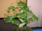 PICT3123.JPG
