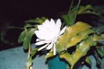 AA_0_023A.jpg