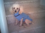 que friooo!!!!!.JPG