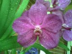 Foto0104.jpg