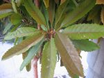 IMG_0194.JPG